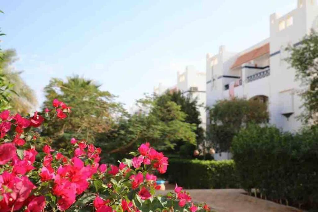 Riviera Resort Apartment - Pool View & Wifi Şarm El-Şeyh Dış mekan fotoğraf