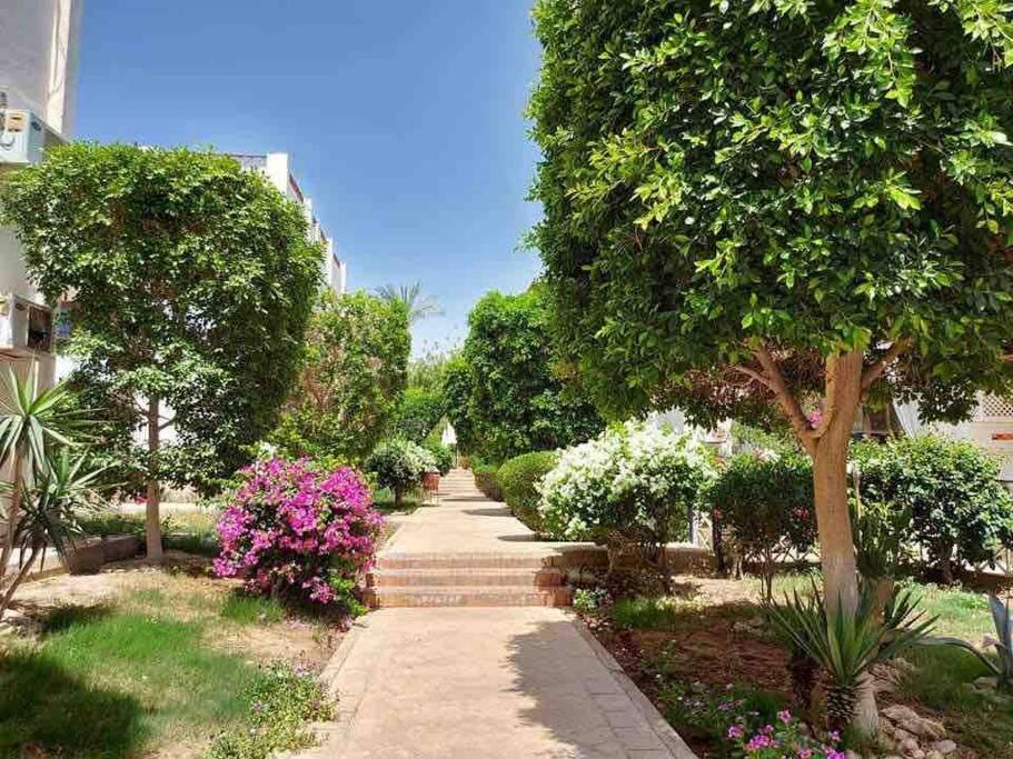 Riviera Resort Apartment - Pool View & Wifi Şarm El-Şeyh Dış mekan fotoğraf